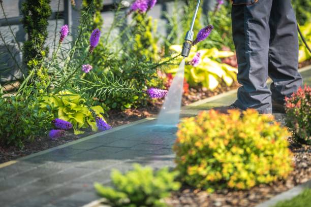 Best Dumpster Area Cleaning  in West Samoset, FL